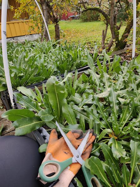 Hovedbilde Vaid A/V/2.1-25