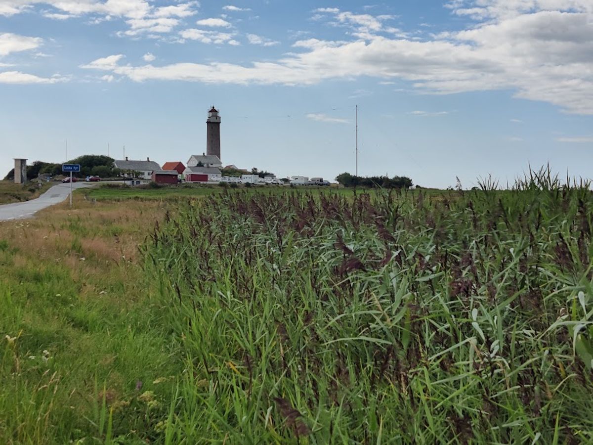 Takrøyr A/TR/1.2-25